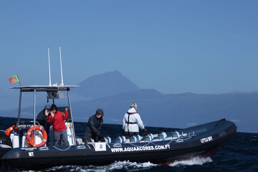 Pico Island: Azores Whale & Dolphin Watching on Zodiac Boat - Starting at the Lajes do Pico Harbor