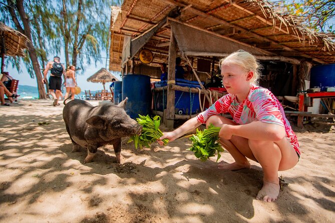 Pink Dolphin and Pig Island Snorkeling Tour from Koh Samui - Koh Tan for 90 minutes of snorkeling