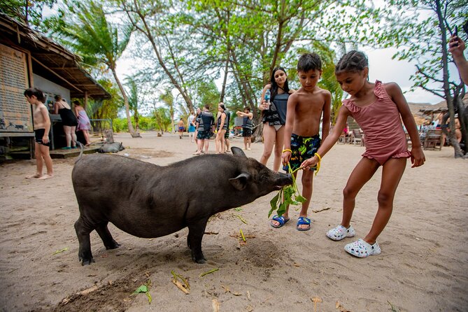 Pink Dolphin and Pig Island Snorkeling Tour from Koh Samui - Khanom and the search for pink dolphins