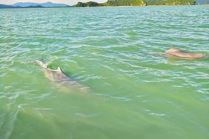 Pink Dolphin Spotting & Pig Island Speedboat Tour From Koh Samui - The strongest and weakest parts