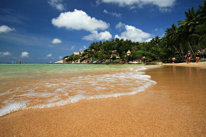 Pink Dolphin Spotting & Snorkelling Day Tour At Pigs Island - Five things to know before you book