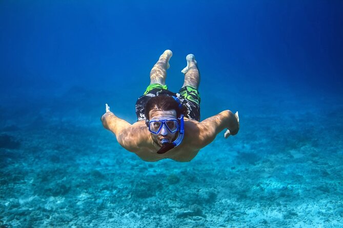 Pink Dolphin Spotting & Snorkelling Day Tour At Pigs Island - Koh Tan snorkeling and what to expect underwater