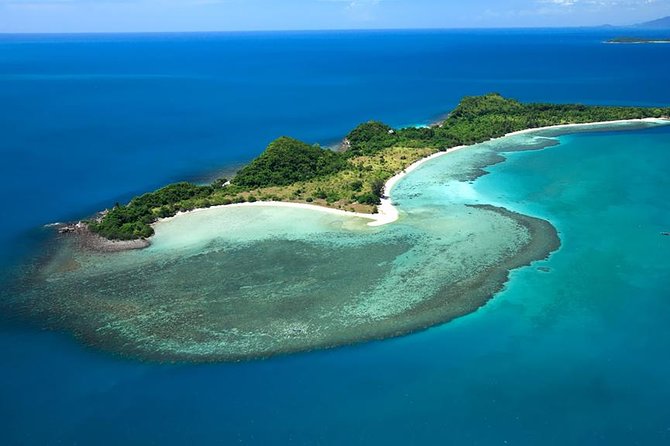Pink Dolphin Spotting & Snorkelling Day Tour At Pigs Island - Timing, comfort, and the speedboat trade-off