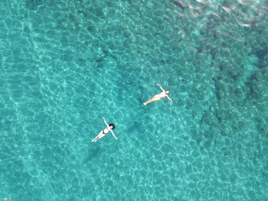 Pizzo: Fishing, Snorkeling, Dolphin Watching - Practical verdict: book for variety, not guarantees