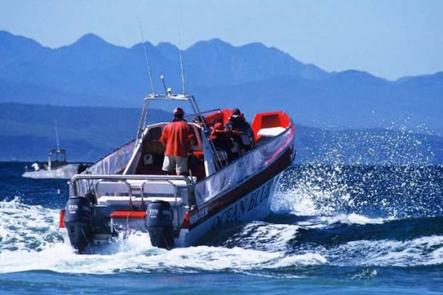 Plettenberg Bay: Dolphin and Marine Boat Tour - Along Keurbooms Beach toward Arch Rock