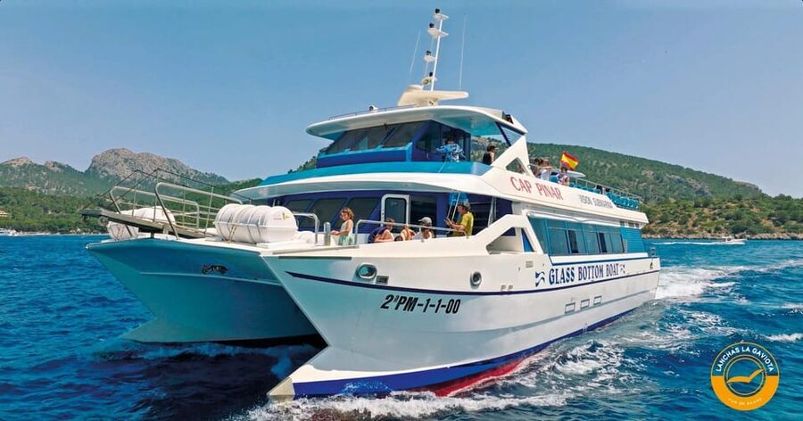 Pollença: Dolphin Watching Boat Excursion - Language, cancellation, and practical planning