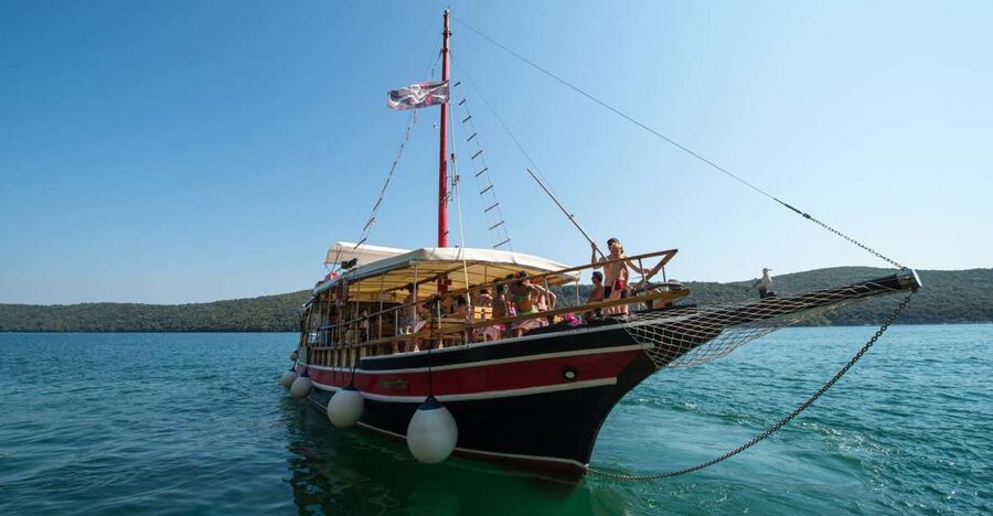 Poreč: Evening Boat Trip to Discover Dolphins - Searching for dolphins in open water