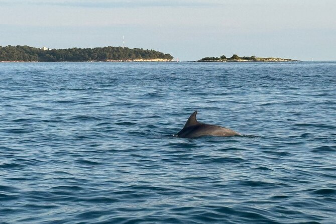 Porec Sunset Shared Cruise on Speedboat with Dolphin Sightseeing - Captain Donato and the value of a local skipper