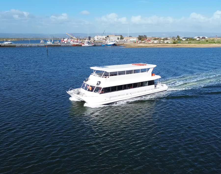 Port Adelaide: Dolphin and Maritime Cruise - What the two-hour route includes