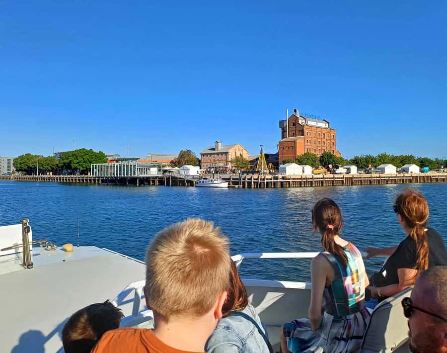 Port Adelaide: Dolphin and Maritime Cruise - Mangroves, mudflats, and the river’s smaller habitats