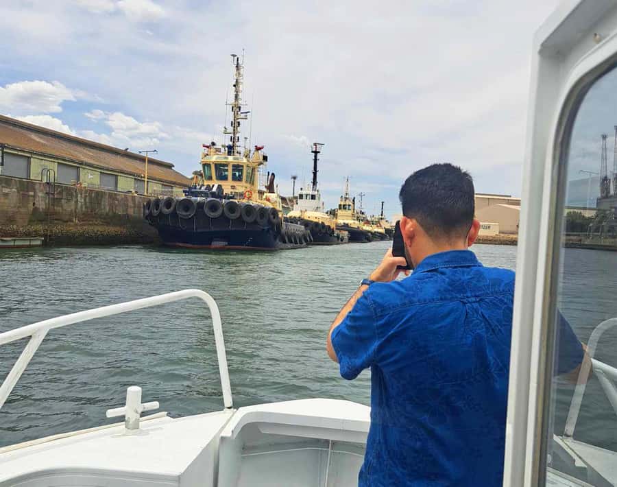 Port Adelaide: Dolphin and Maritime Cruise - A glimpse of Australia’s submarine construction