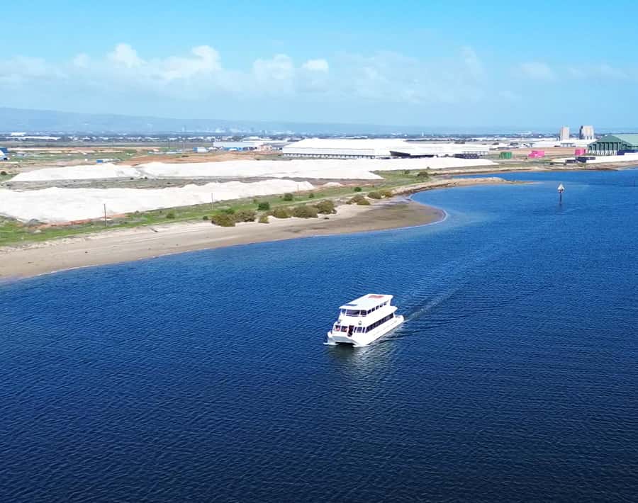 Port Adelaide: Dolphin and Maritime Cruise - What the guide adds to the cruise