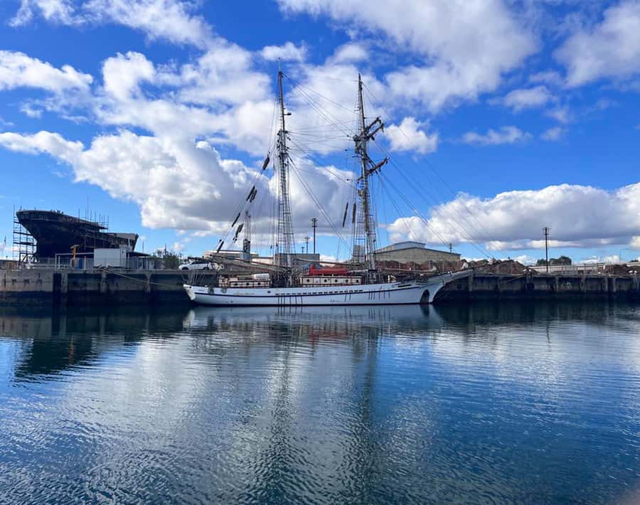 Port Adelaide: Dolphin and Maritime Cruise - Is $62 a fair price?