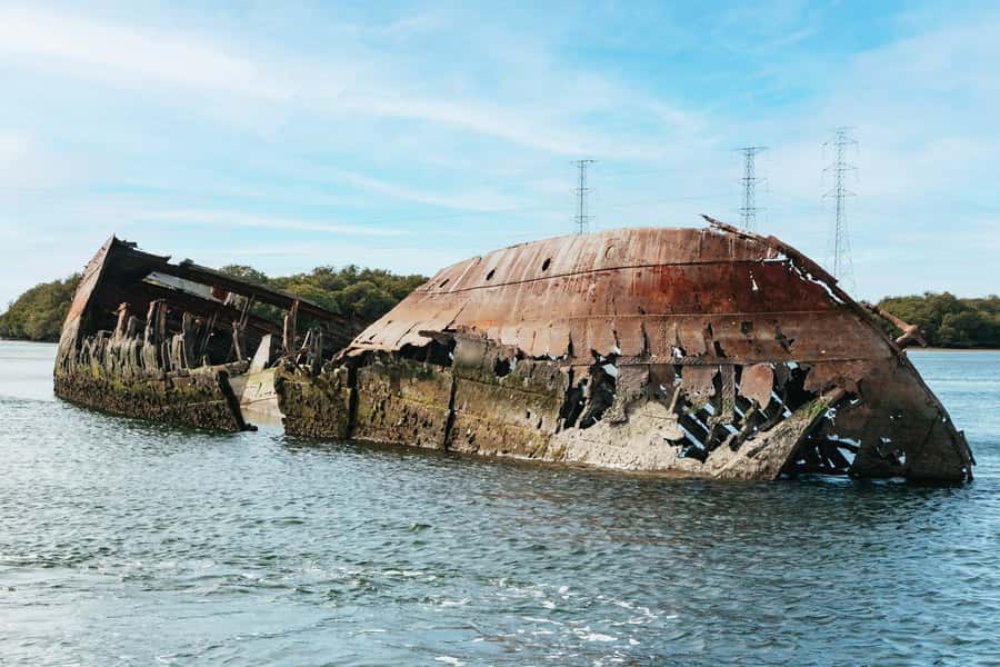 Port Adelaide: Dolphin and Ships Graveyard Cruise - Key points before you book