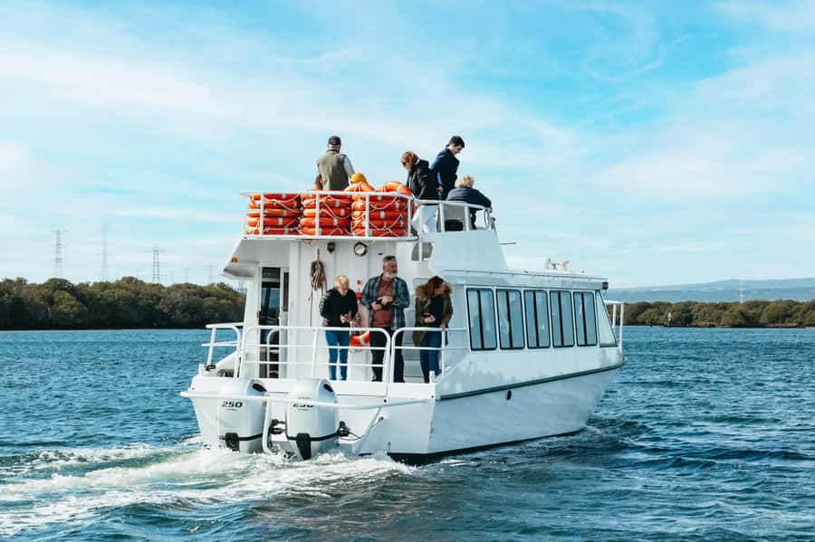 Port Adelaide: Dolphin and Ships Graveyard Cruise - Why the Port River makes an unusual cruise setting