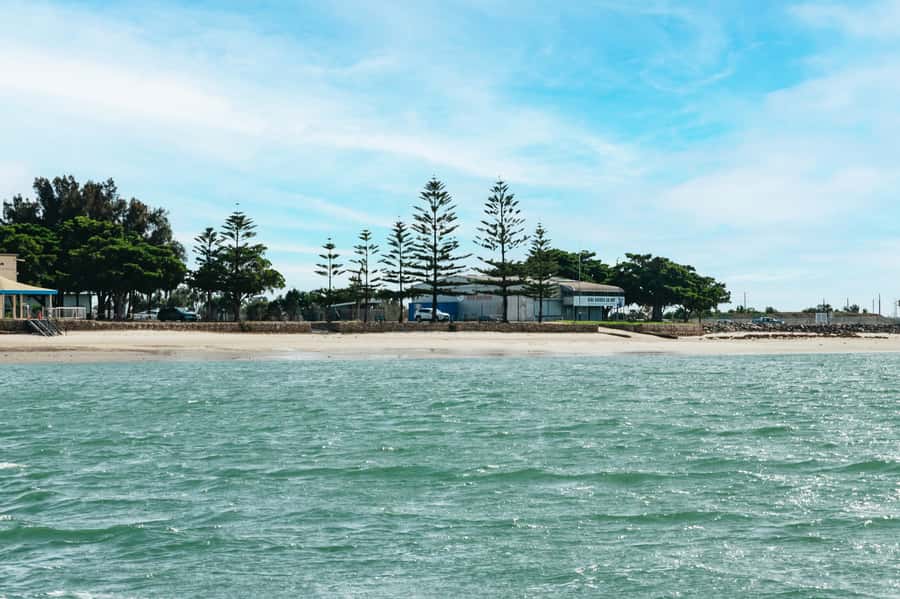 Port Adelaide: Dolphin and Ships Graveyard Cruise - Searching for dolphins in an urban sanctuary