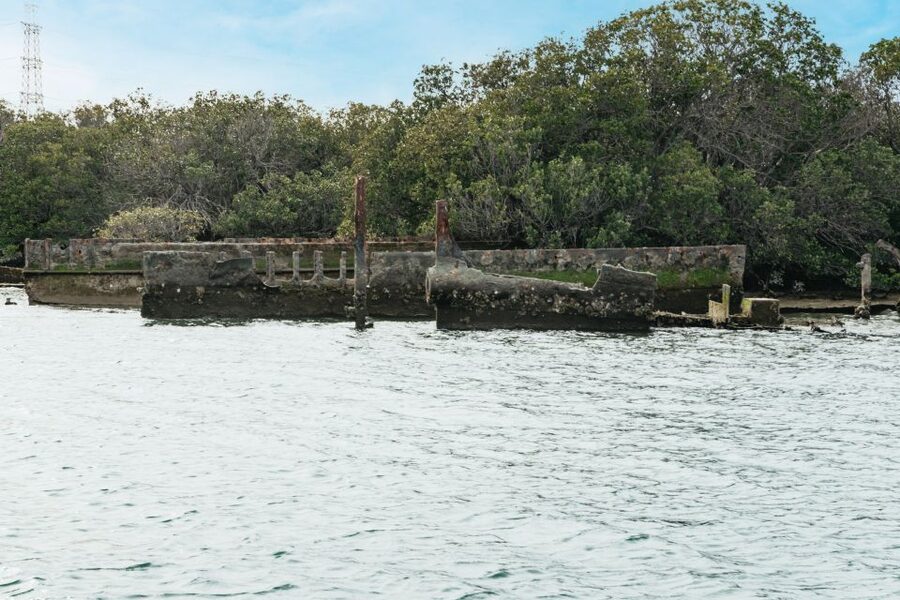 Port Adelaide: Dolphin and Ships Graveyard Cruise - Passing the International Bird Sanctuary