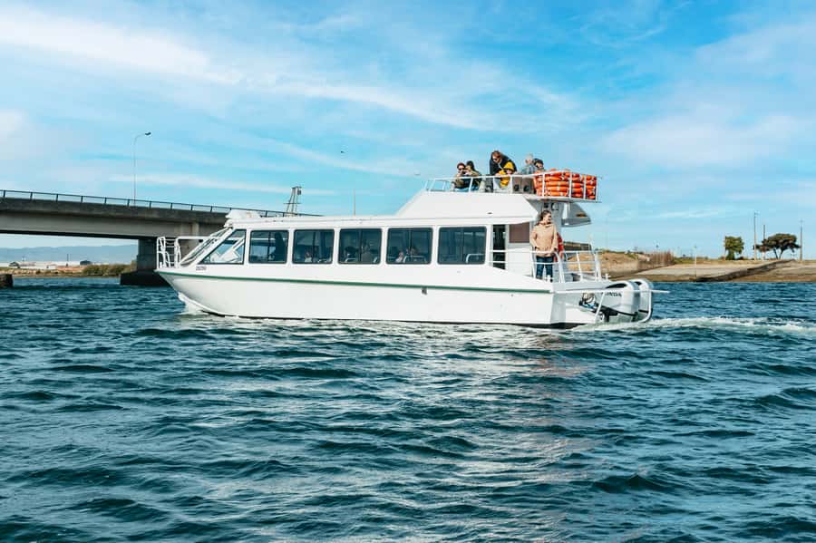 Port Adelaide: Dolphin and Ships Graveyard Cruise - How much does the $62 price deliver?
