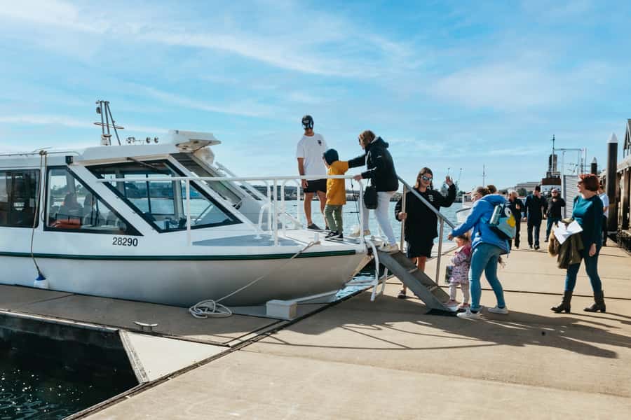 Port Adelaide: Dolphin and Ships Graveyard Cruise - The best and least suitable times to book