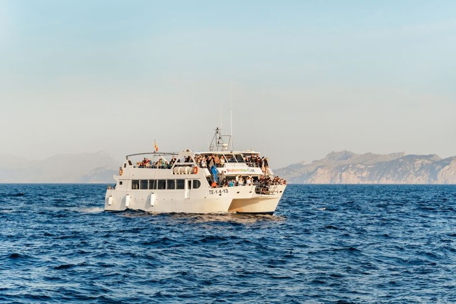 Port d'Alcudia: Sunrise at Sea & Dolphin Watching Boat Tour - Key points to know before you book