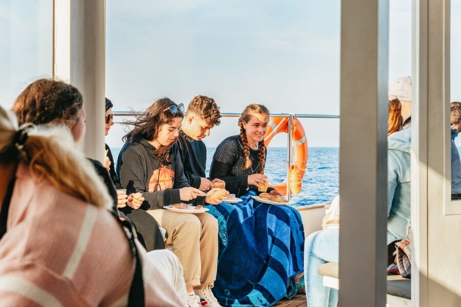Port d'Alcudia: Sunrise at Sea & Dolphin Watching Boat Tour - What the $69 price delivers