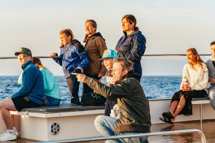 Port d'Alcudia: Sunrise at Sea & Dolphin Watching Boat Tour - Should you book the Alcudia sunrise dolphin cruise?