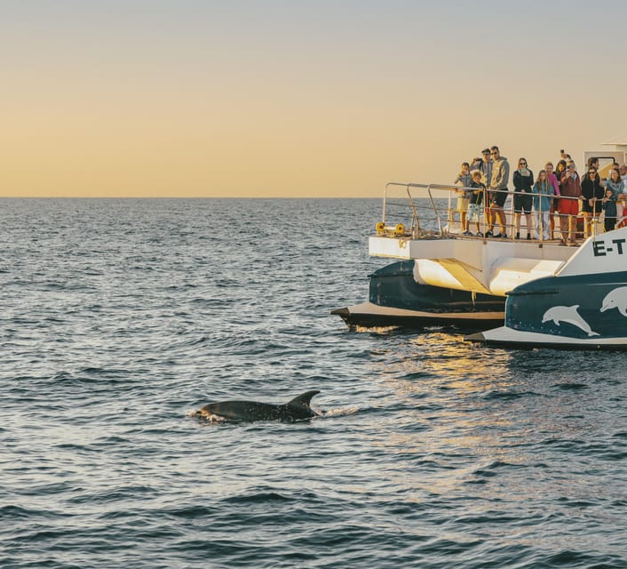 Port d'Alcudia: Sunrise at Sea & Dolphin Watching Boat Tour - The first hour at sea