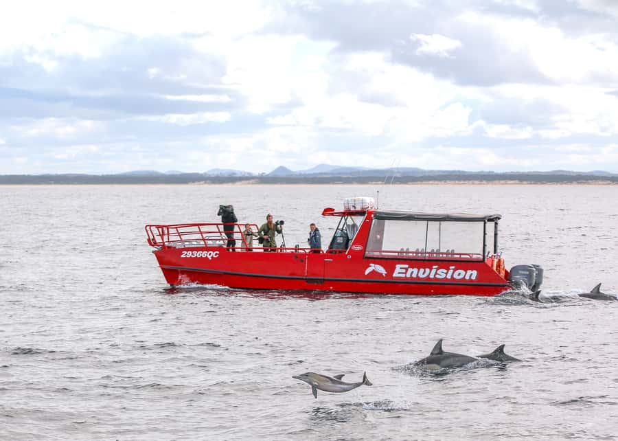 Port Stephens: 1hr Dolphin Watch Express - Why the one-hour format works
