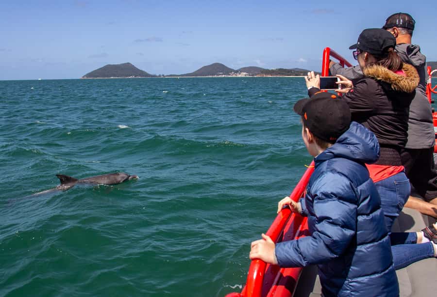 Port Stephens: 1hr Dolphin Watch Express - Should you book the Port Stephens Dolphin Watch Express?