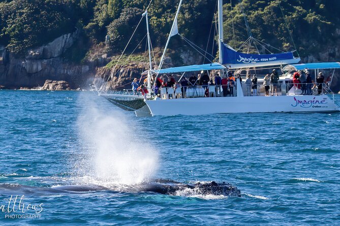 Port Stephens 3 Hour Whale and Dolphin Watch Cruise - Commentary and the crew