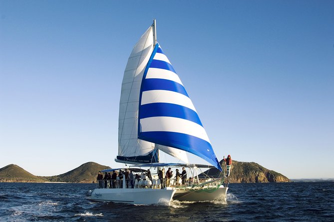 Port Stephens 3 Hour Whale and Dolphin Watch Cruise - Who should book this Port Stephens cruise?