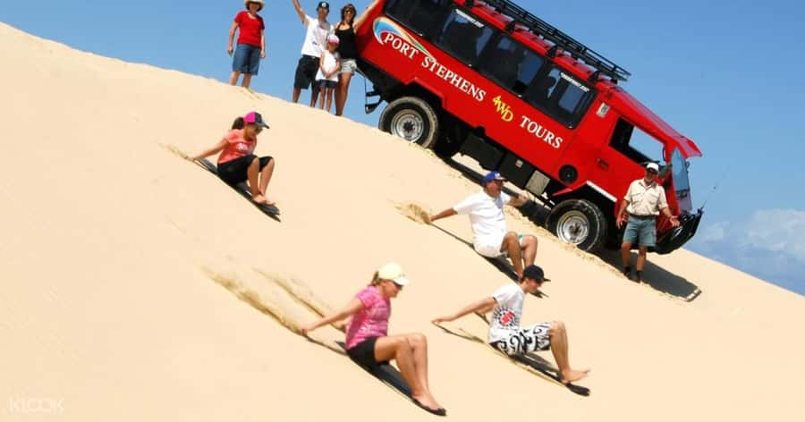 Port Stephens: Dolphin Cruise, Lunch, Koalas & Sandboarding - Should you book it?