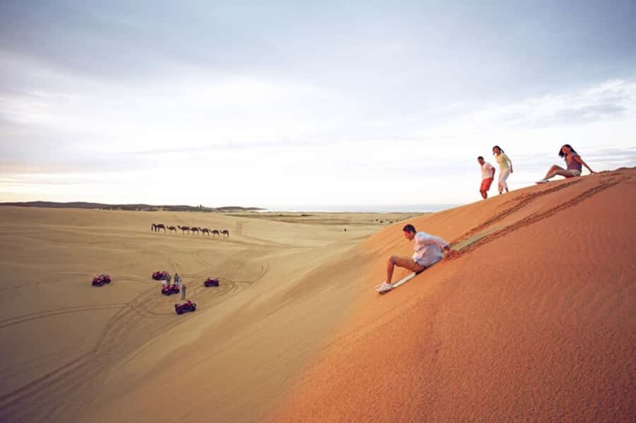 Port Stephens: Dolphin Cruise, Lunch, Koalas & Sandboarding - The dolphin cruise on Port Stephens