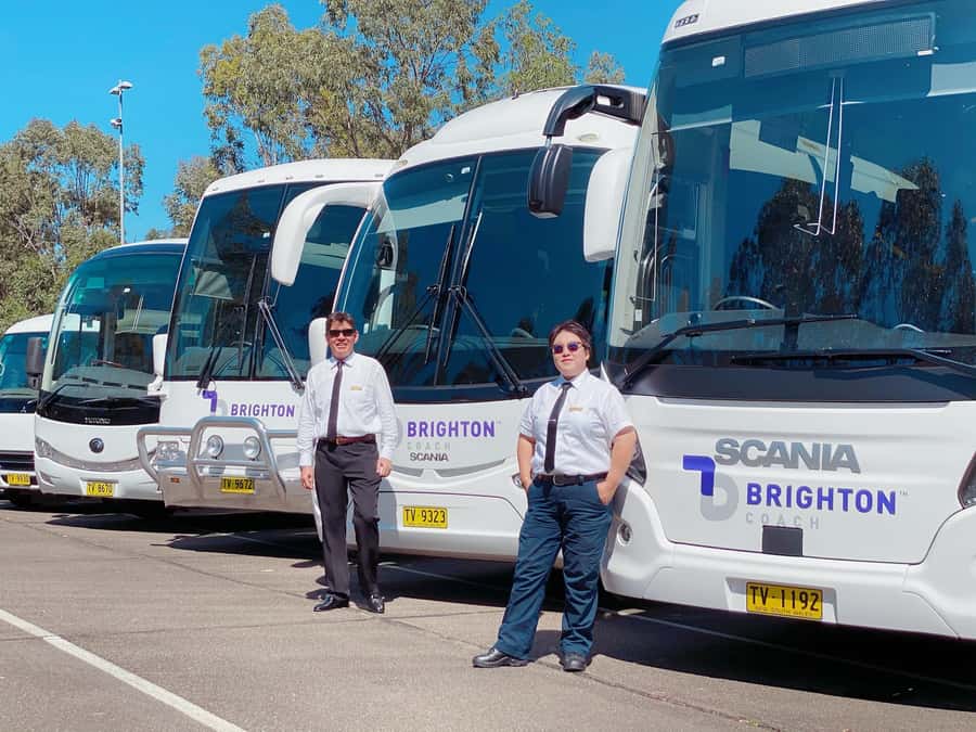 Port Stephens: Dolphin Cruise, Lunch, Koalas & Sandboarding - The coach, guides and pace of the day
