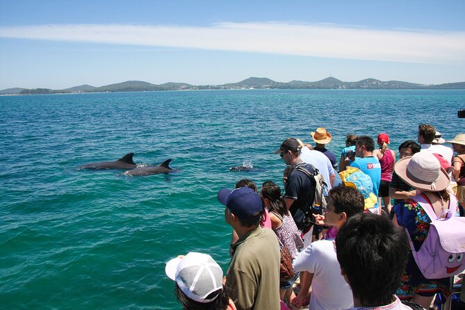 Port Stephens: Dolphin Discovery Cruise - How much value do you get for $32.28?