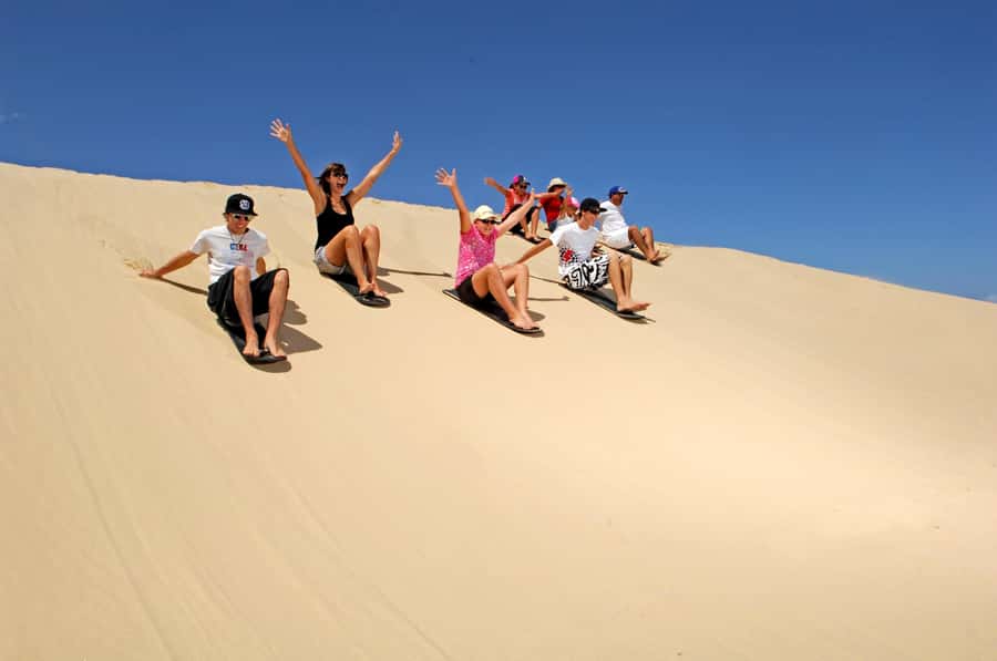Port Stephens: Dolphin, Lunch, Koalas&Sandboarding(Japanese) - Key points to know before you book