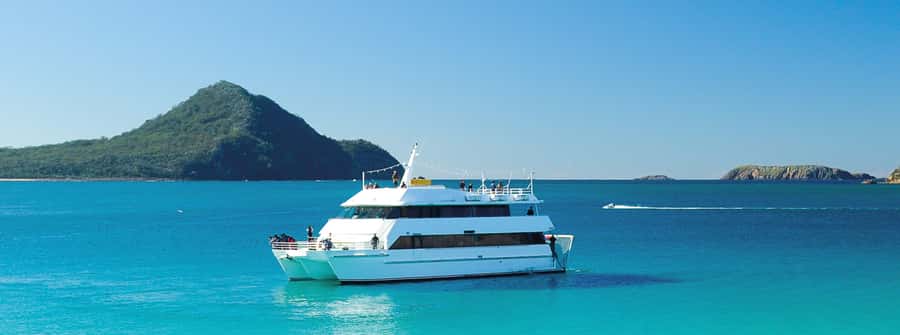 Port Stephens: Dolphin, Lunch, Koalas&Sandboarding -Mandarin - Why Port Stephens Makes a Strong Day Trip from Sydney