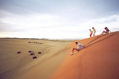 Port Stephens: Dolphin, Lunch, Koalas&Sandboarding -Mandarin