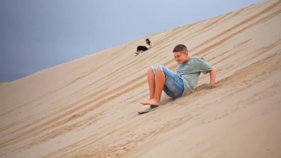 Port Stephens: Dolphin, Lunch, Koalas&Sandboarding -Mandarin - Should You Book This Port Stephens Day Tour?