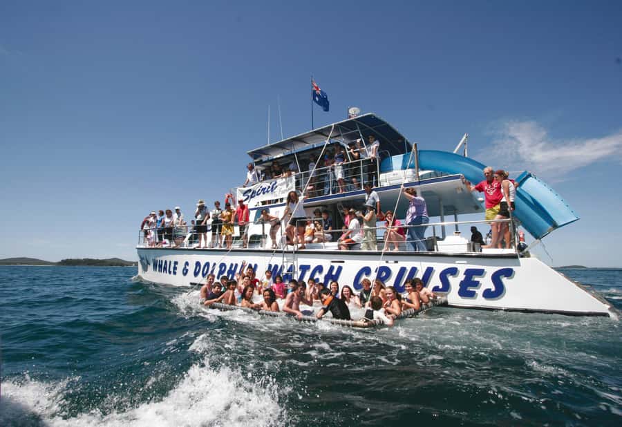 Port Stephens: Dolphin Watch Cruise with Swimming and Slides - A dolphin cruise with a built-in water park