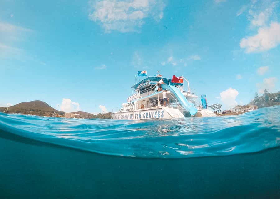 Port Stephens: Dolphin Watch Cruise with Swimming and Slides - Searching for dolphins in Port Stephens