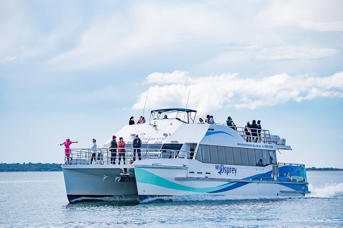 Port Stephens: Dolphin Watch Eco Adventure - Key points to know before boarding