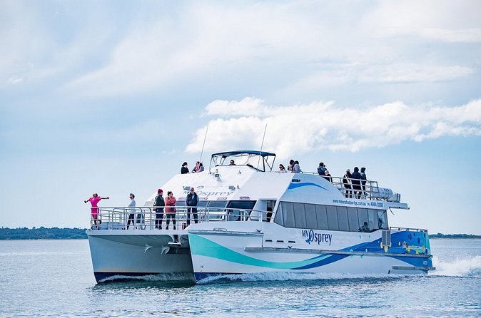 Port Stephens: Dolphin Watch Eco Adventure - Shoal Bay, Little Beach, and the ride home