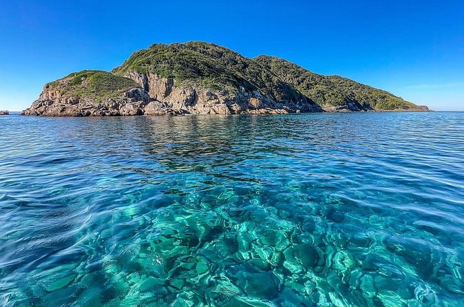 Port Stephens: Dolphin Watch Eco Adventure - Families, older adults, and anyone sensitive to motion