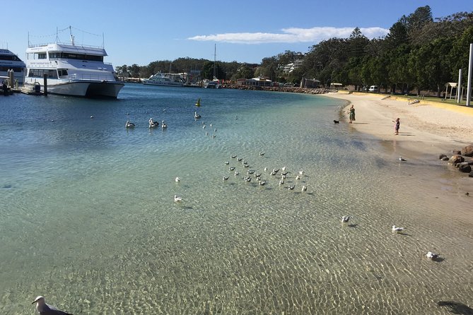 Port Stephens Private Tour From Sydney, with Dolphin/ Whale Cruise Options - Lunch at Nelson Bay Bowling and Recreation Club