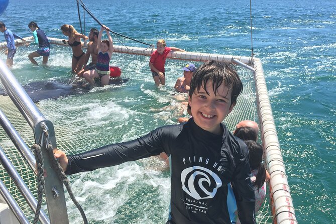 Port Stephens Private Tour From Sydney, with Dolphin/ Whale Cruise Options - Little Beach for photographs and a quick swim