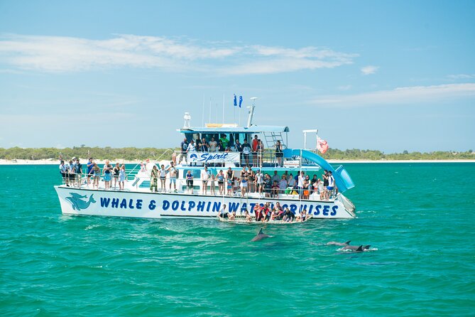 Port Stephens: Splash 'n' Slide Dolphin Cruise - A dolphin cruise with a built-in water park