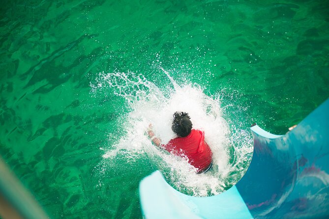 Port Stephens: Splash 'n' Slide Dolphin Cruise - FAQ