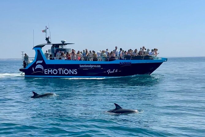 Portimão : 2.5 hours — Dolphins Watching — Biologist on Board - Key points to know before you book
