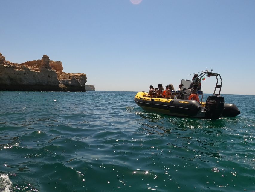 Portimão: 2-Hour Dolphin Watching Boat Tour - Searching for Dolphins Along the Algarve Coast